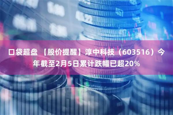 口袋超盘 【股价提醒】淳中科技（603516）今年截至2月5日累计跌幅已超20%